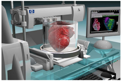 3d Printed Heart